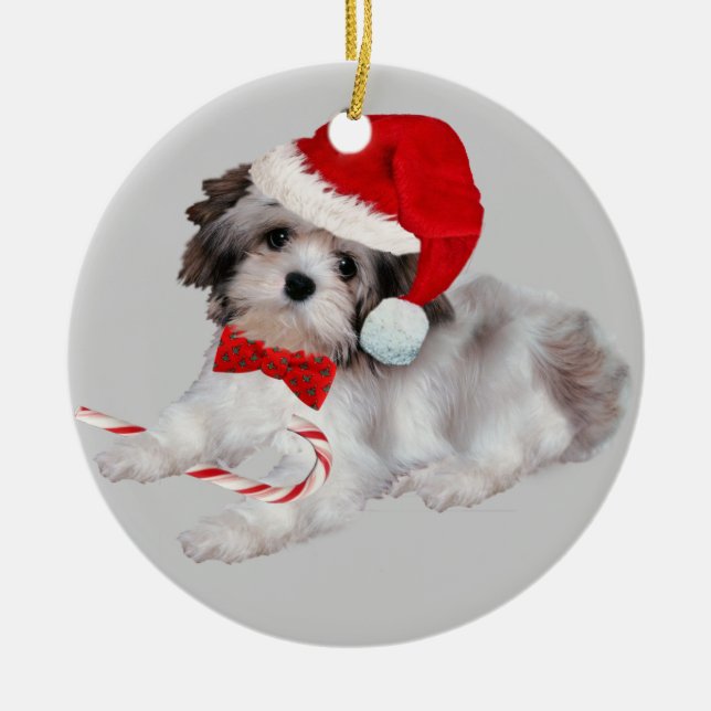 Enfeites de natal de Havanese (Frente)