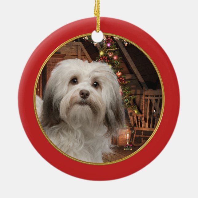 Enfeites de natal de Havanese (Traseira)