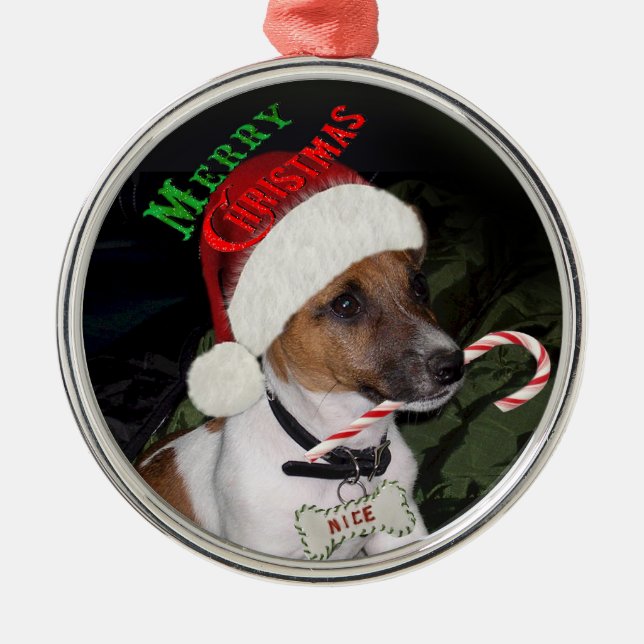 Enfeites de natal de Jack Russell Terrier (Frente)