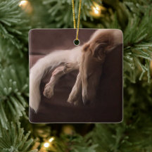Enfeites de natal de lombo Borzoi