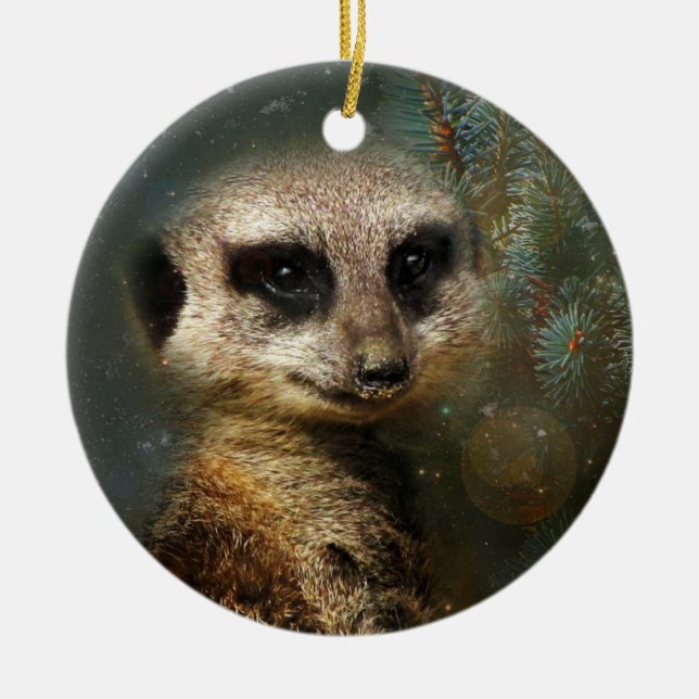 Enfeites de natal de Meerkat (Frente)