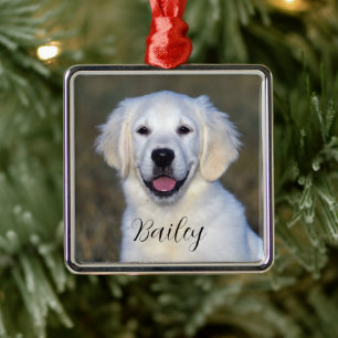 Enfeites de natal de Nome de Foto Moderno