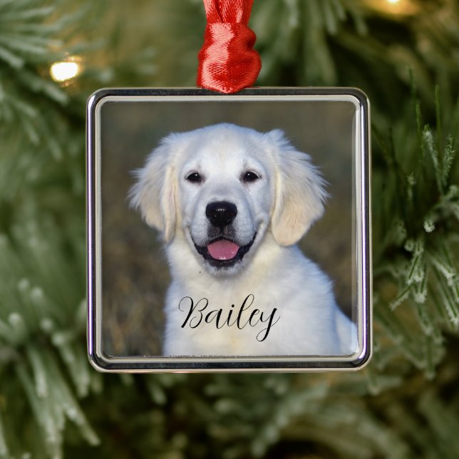 Enfeites de natal de Nome de Foto Moderno (Árvore)