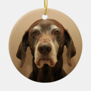 Enfeites de natal de ponteiro curto alemão
