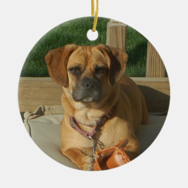 Enfeites de natal de Puggle (Frente)