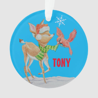 Enfeites de natal de rapazes personalizados