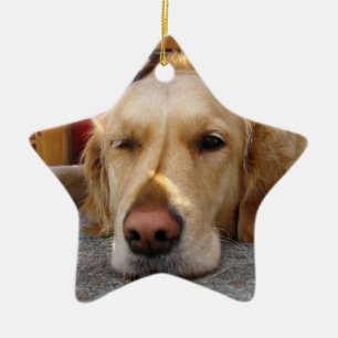 Enfeites de natal de Retriever de ouro Personaliza