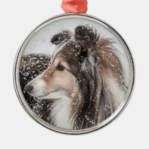 Enfeites de natal de Sheltie da neve