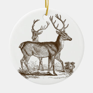 Enfeites de natal de Veado da História Natural da