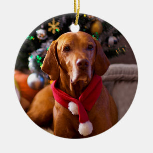Enfeites de natal de Vizsla (Henry)