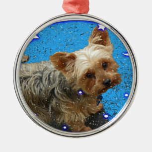 Enfeites de natal de Yorki