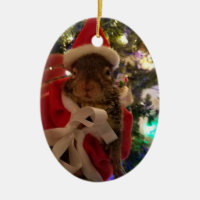 Enfeites de natal do amaranto