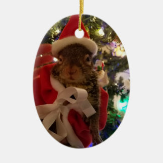 Enfeites de natal do amaranto