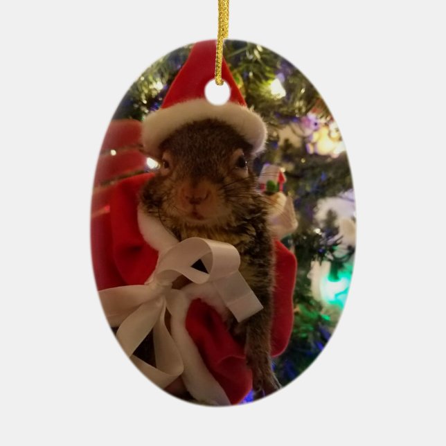 Enfeites de natal do amaranto (Frente)