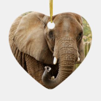 Enfeites de natal do elefante africano
