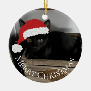 Enfeites de natal do gatinho do papai noel