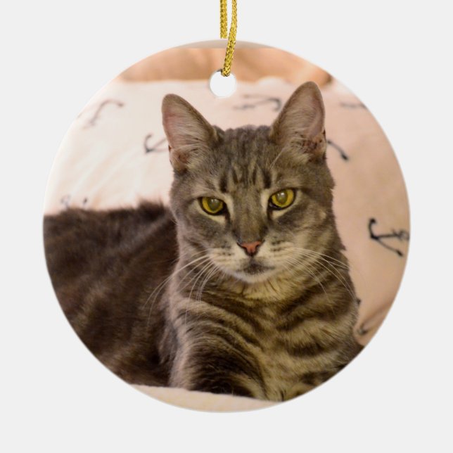 Enfeites de natal do gato de gato malhado de Greg (Frente)
