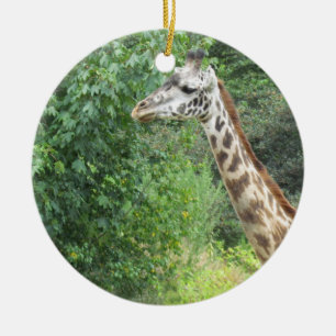 Enfeites de natal do girafa