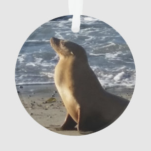 Enfeites de natal do leão de mar