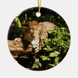 Enfeites de natal do leopardo