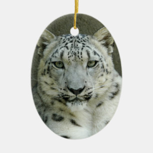 Enfeites de natal do leopardo de neve