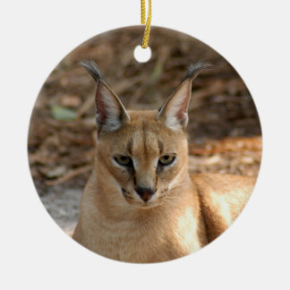 Enfeites de natal do lince de Caracal