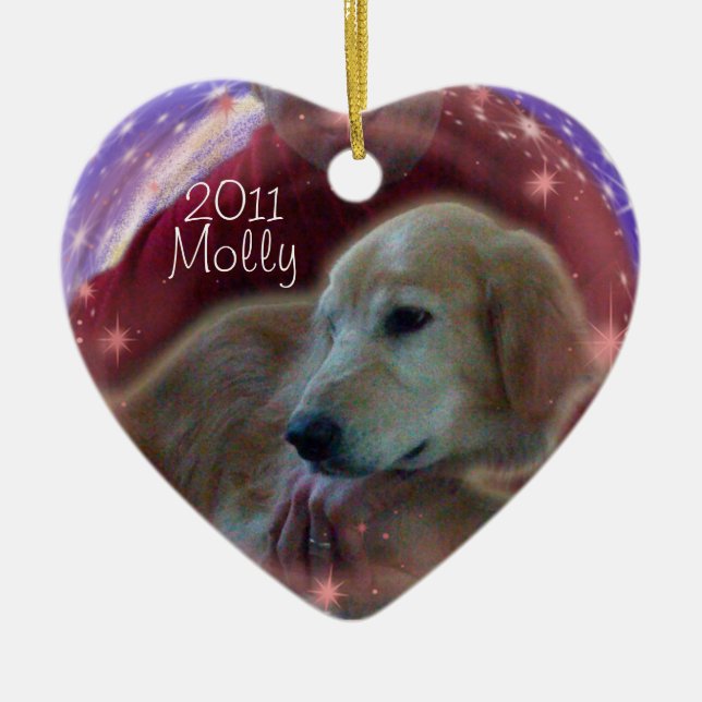 ENFEITES DE NATAL DO MEMORIAL DO GOLDEN RETRIEVER (Frente)