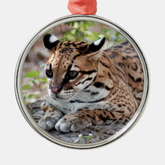 Enfeites de natal do Ocelot
