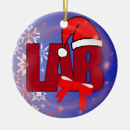 ENFEITES DE NATAL DO PAPAI NOEL DO LABORATÓRIO