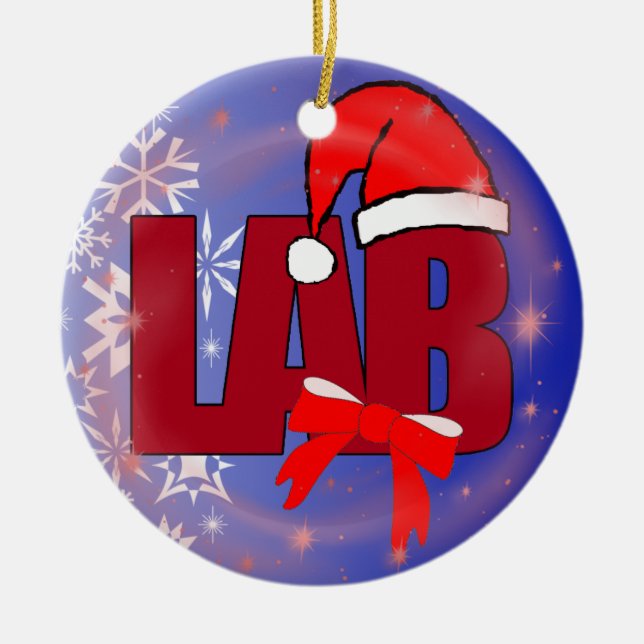 ENFEITES DE NATAL DO PAPAI NOEL DO LABORATÓRIO (Frente)
