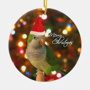 Enfeites de natal do Parakeet do quacre do papai