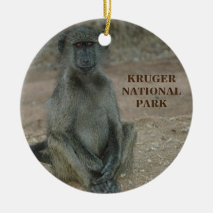 Enfeites de natal do Parque Nacional Kruger