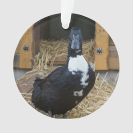 Enfeites de natal do pato