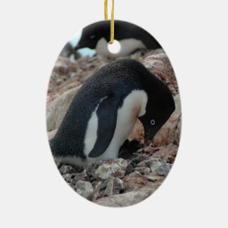 Enfeites de natal do pinguim de Adelie