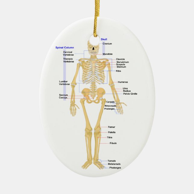 Enfeites de natal do professor de ciências (Frente)