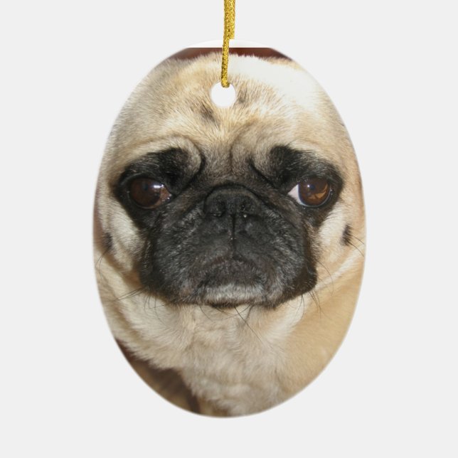 Enfeites de natal do Pug (Frente)