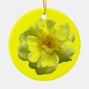 Enfeites de natal do rosa amarelo