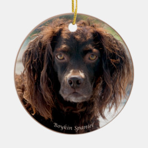 Enfeites de natal do Spaniel de Boykin