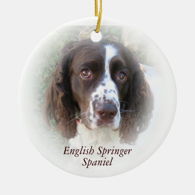 Enfeites de natal do Spaniel de Springer inglês (Frente)