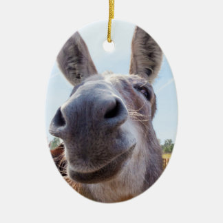 Enfeites de natal Donkey sorridente