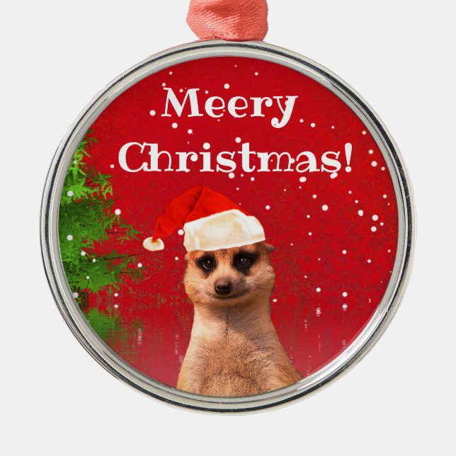 Enfeites de natal engraçados do Natal de Meerkat (Frente)