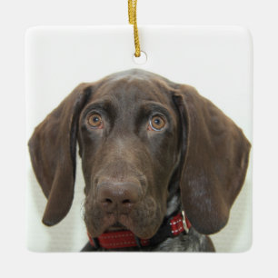 Enfeites de natal Grizzly brilhante