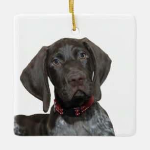 Enfeites de natal Grizzly brilhante