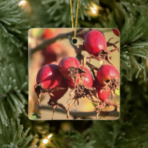 Enfeites de natal Hips Rosa Wild