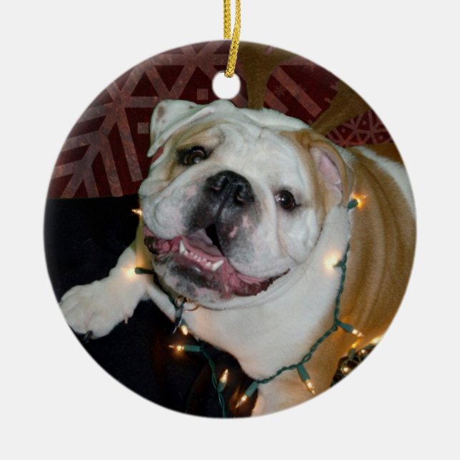 Enfeites de natal ingleses do buldogue (Frente)