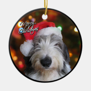 Enfeites de natal ingleses velhos do Sheepdog do