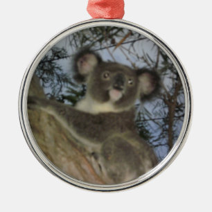 Enfeites de natal Koala