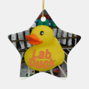 ENFEITES DE NATAL LAB DUCK