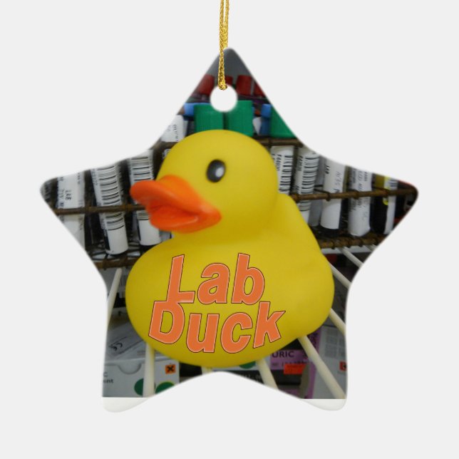 ENFEITES DE NATAL LAB DUCK (Frente)