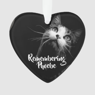 enfeites de natal Lembrando seu gato